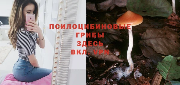 твердый Бугульма